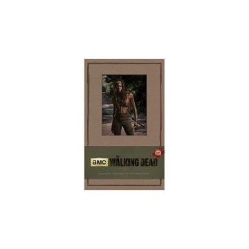 The Walking Dead Hardcover Ruled Journal - Michonne (Insights Journals) AMC