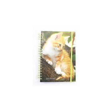 Wiro Journal - Kittens
