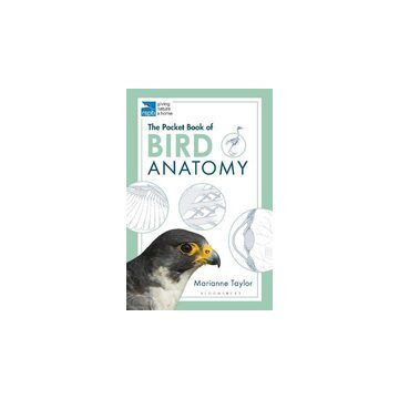 RSPB Pocket Book of Bird Anatomy