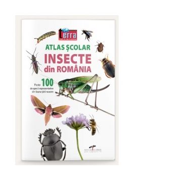 Atlas scolar. Insecte din Romania. Peste 100 de specii reprezentative din fauna tarii noastre