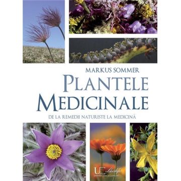 Plante medicinale De la remedii naturiste la medicina