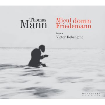 Micul domn Friedemann (audiobook)