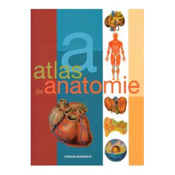 Atlas de anatomie - Dr. Adolfo Cassan