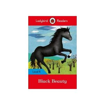 Ladybird Readers: Level 6 Black Beauty