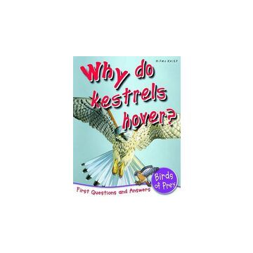 Why do kestrels hover?