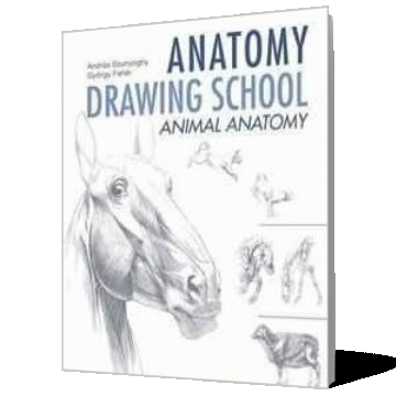 Anatomy drawing school: Animal