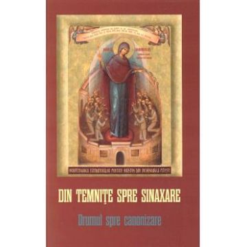 Din temnite spre sinaxare. Drumul spre canonizare - Danion Vasile
