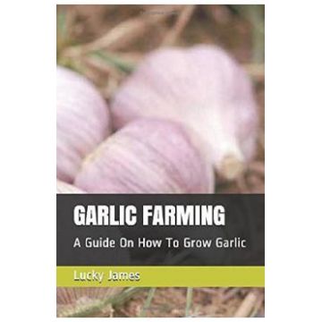 Garlic Farming: A Guide On How To Grow Garlic - Lucky James