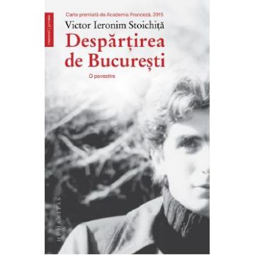 Despartirea de Bucuresti. O povestire - Victor Ieronim Stoichita