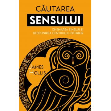 Cautarea Sensului. Chemarea Sinelui si redefinirea Centrului Interior